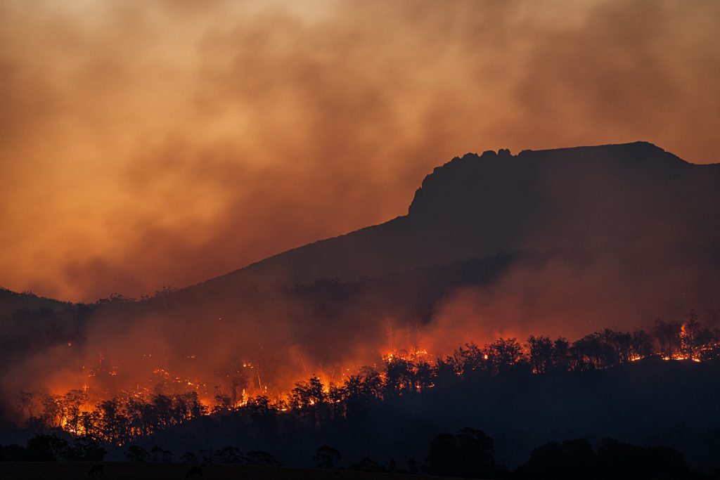 Aquesta imatge té l'atribut alt buit; el seu nom és matt-palmer-kbTp7dBzHyY-unsplash-1024x683.jpg